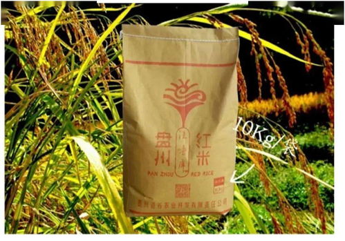 盤州農(nóng)副產(chǎn)品，碼上買，便捷直達(dá)餐桌